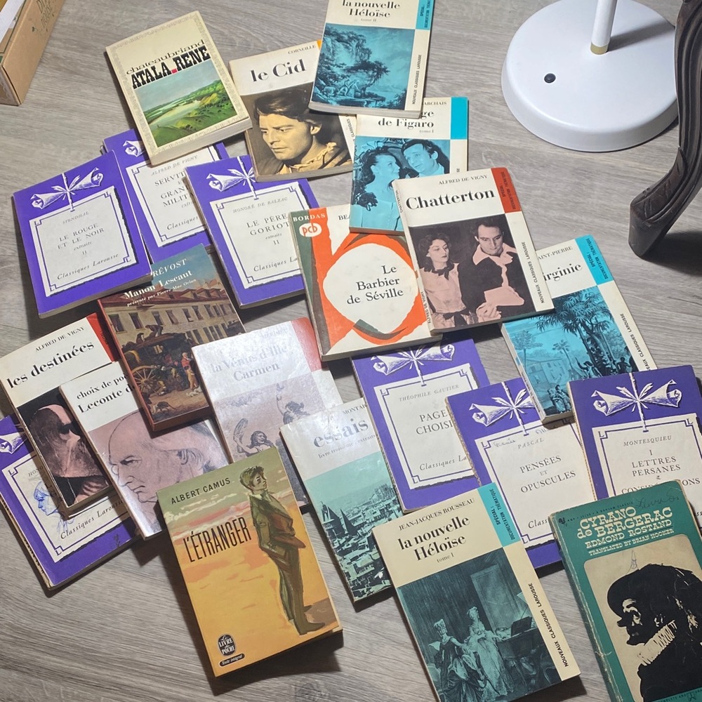 Vintage Multicolor French Book Set